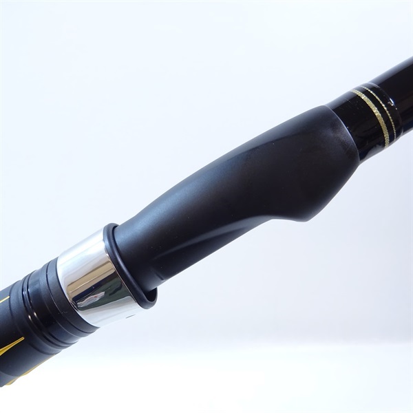 ２１アオリスタ５００